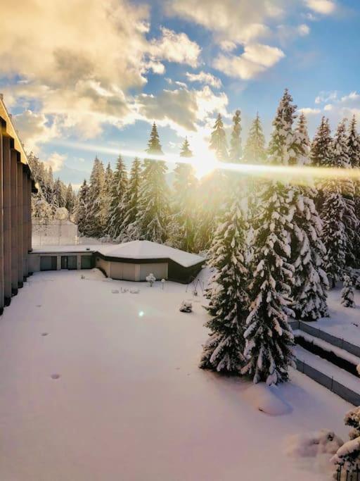 Modern Laax Apt, Swimming Pools, Wellness & Tennis Eksteriør billede
